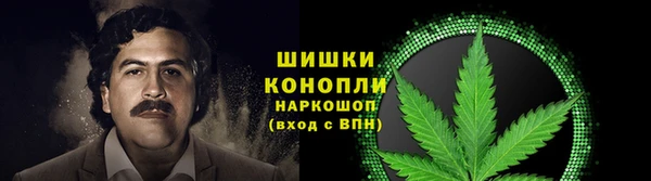 эйфоретик Аркадак